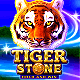 Tiger Stone
